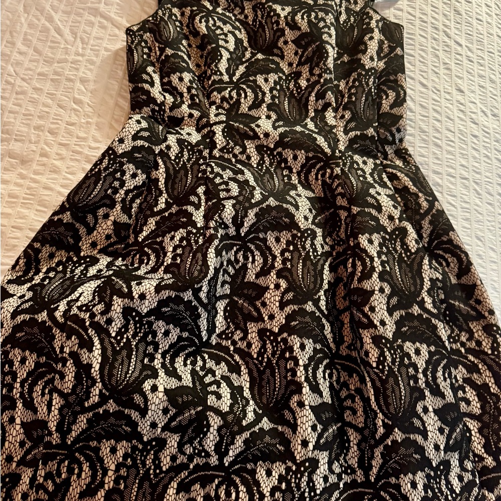 Elegant Black and White Lace Dress